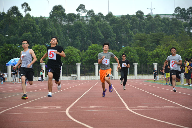 1447389008774669.jpg ydh3.jpg