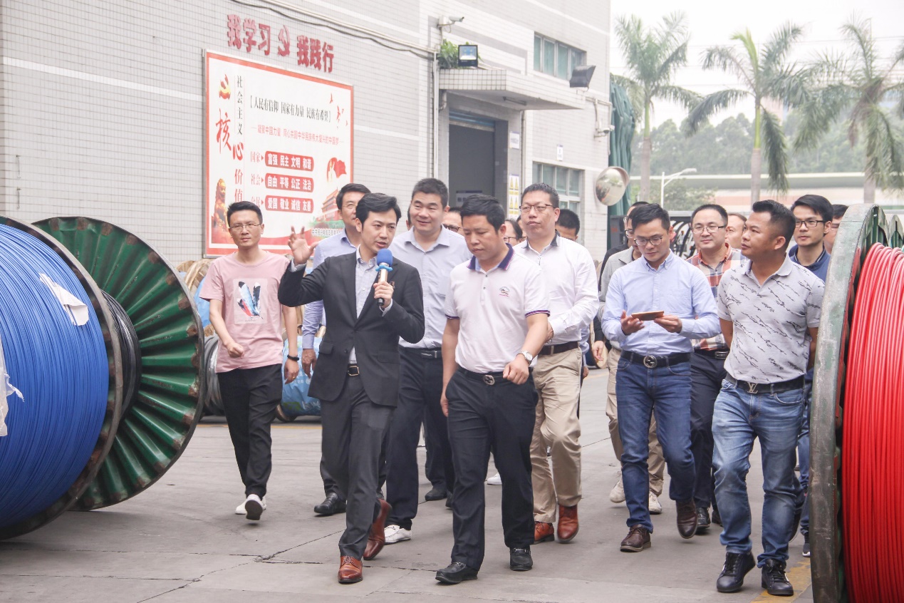 1557277068652726.jpg 5.jpg